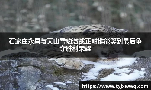 中超直播