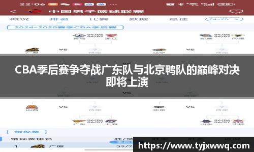 低调看球